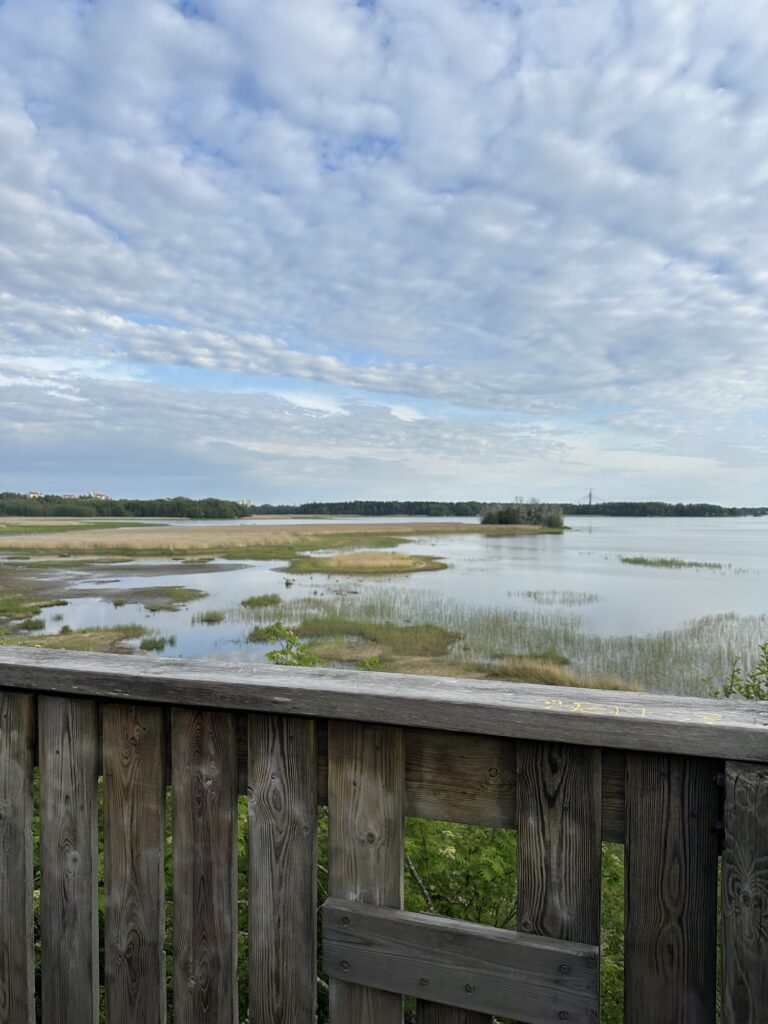 Hakalanniemen lintutorni