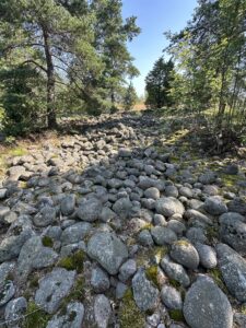 Vanhaa merenpohjaa Jakomäessä Helsingissä